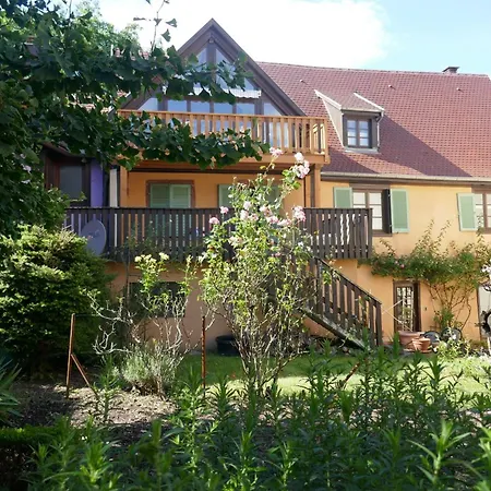 RtBbk-Plein sud pied des Vosges face vignoble Apartment