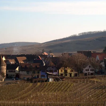 Apartment RtBbk-Plein sud pied des Vosges face vignoble Ammerschwihr