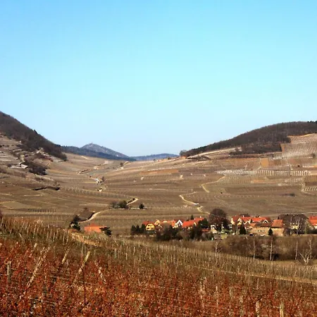 Apartment RtBbk-Plein sud pied des Vosges face vignoble *