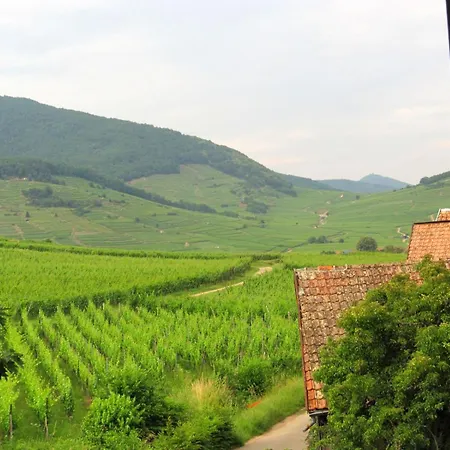 Apartment RtBbk-Plein sud pied des Vosges face vignoble