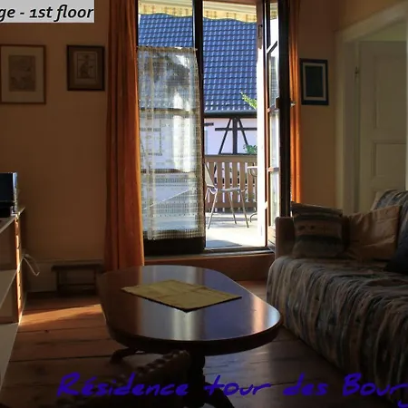 Apartment RtBbk-Plein sud pied des Vosges face vignoble *