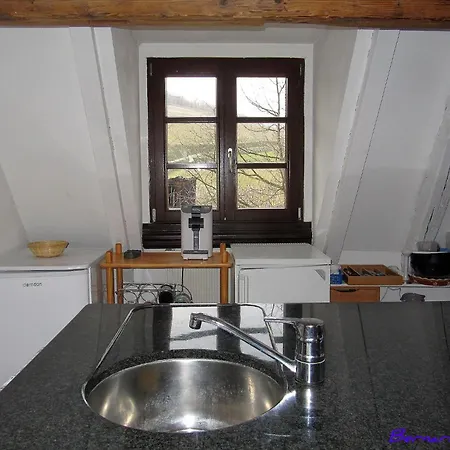 RtBbk-Plein sud pied des Vosges face vignoble Apartment *