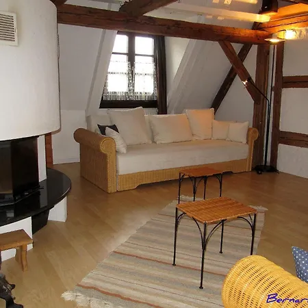 Apartment RtBbk-Plein sud pied des Vosges face vignoble